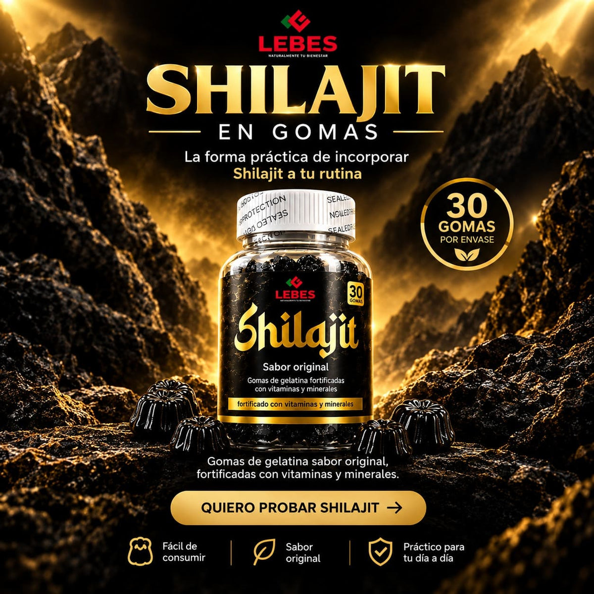 GOMAS SHILAJIT PREMIUM